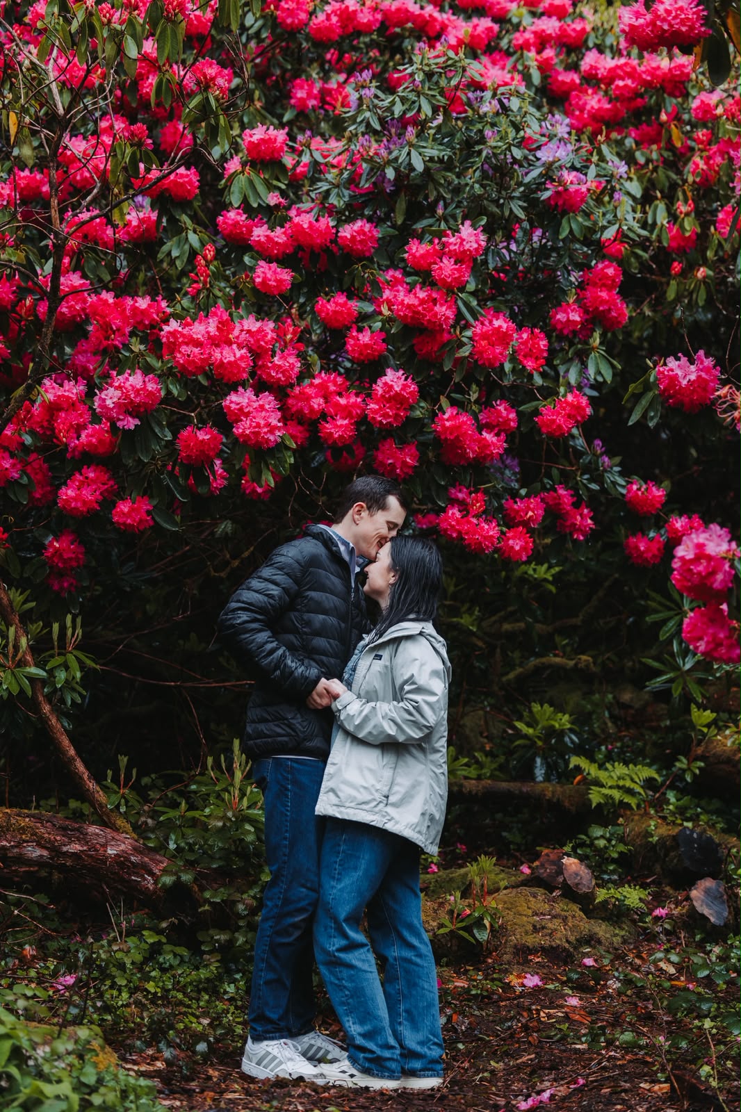 Couple kissing in a garden surrounded by rhododendrons
