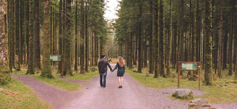 Couple walking hand in hand down a pine forest path
