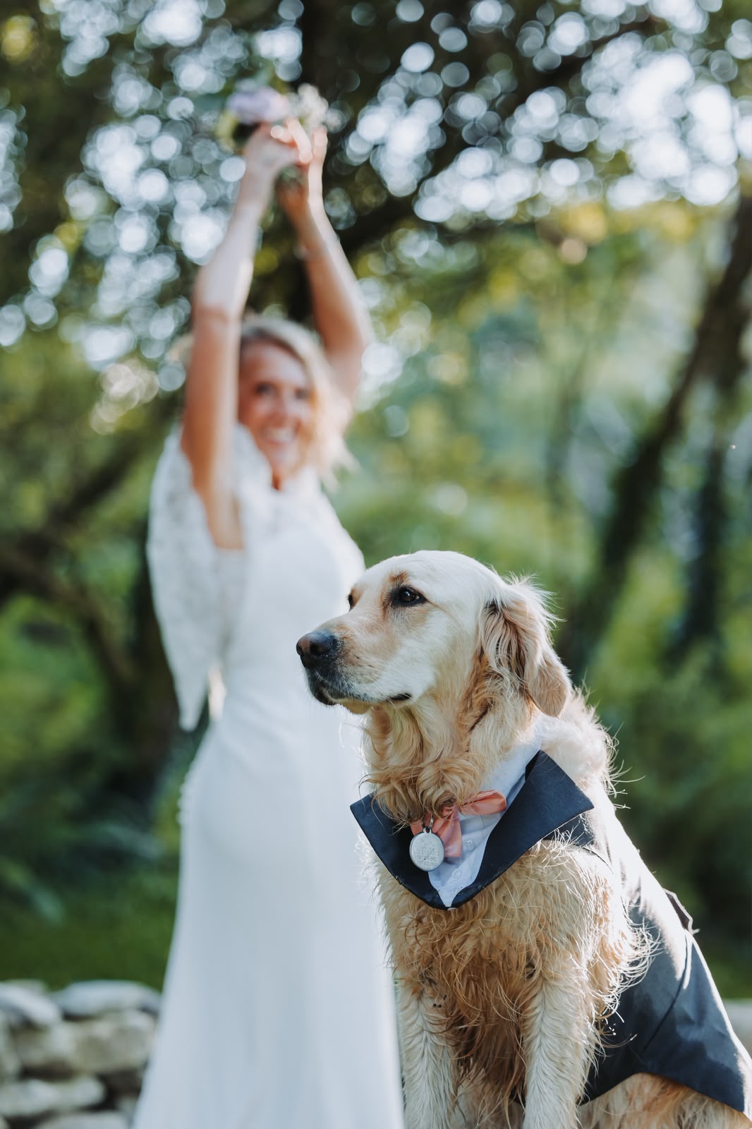 Bride celebrating with a golden retriever in a suit jacket